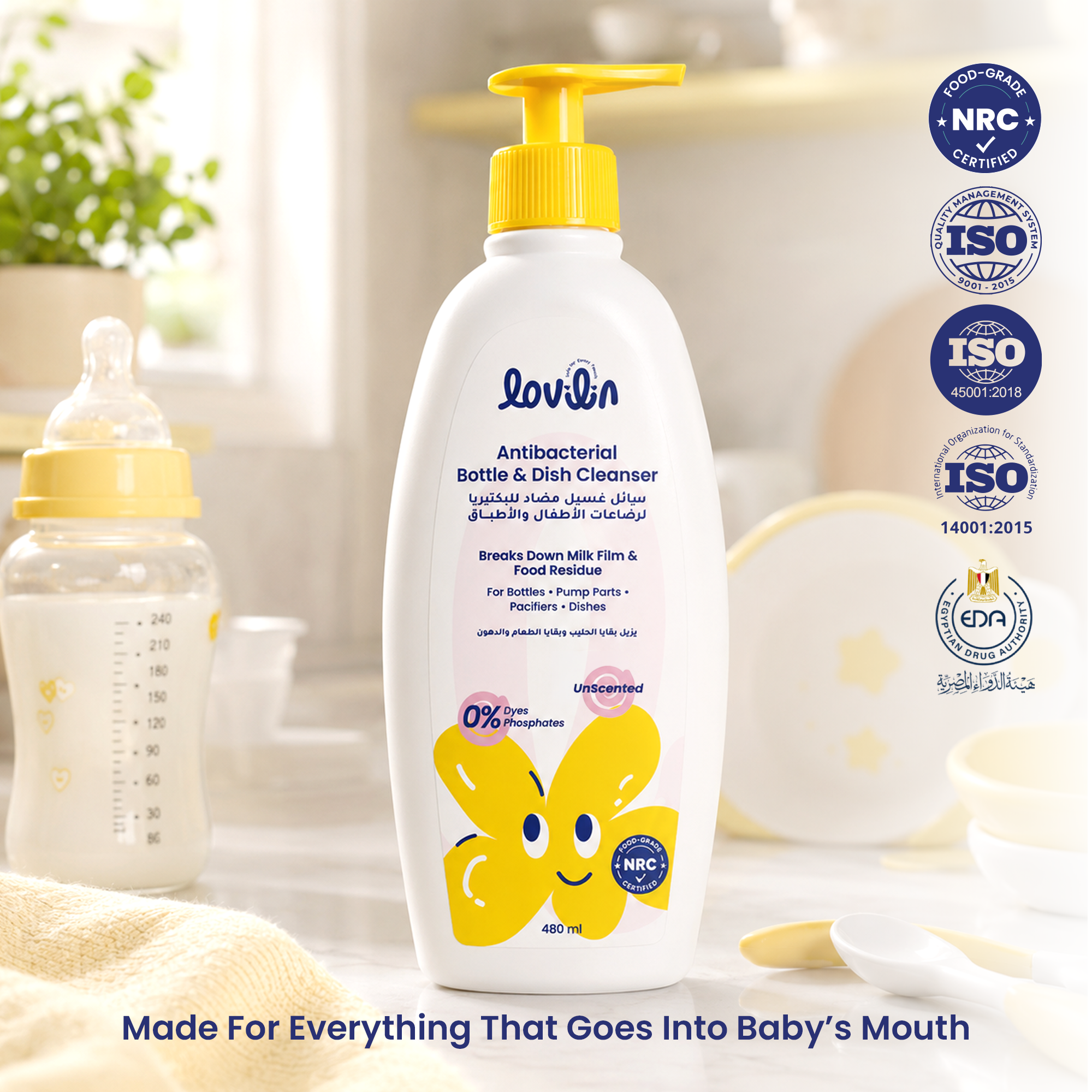 Antibacterial Bottle & Dish Cleanser